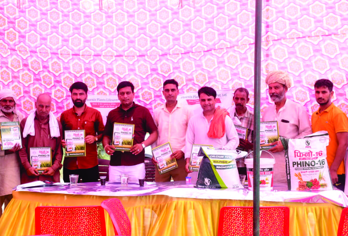 Agro image 5
